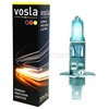 GLOBE VOSLA 12V 55W H1 BLUE 28630