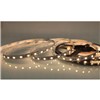 LED STRIP LIGHT WHITE 24V 14W 5mt IP65